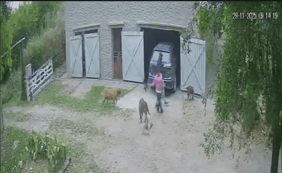 Villa Elisa: Arrestaron a una empleada doméstica por robar en la vivienda en la que trabajaba