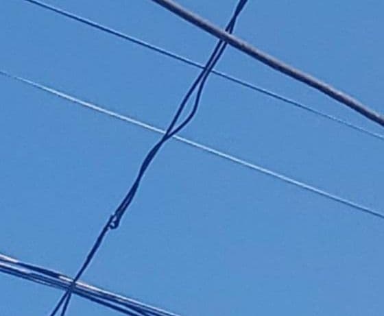 Vecinos denuncian peligro por cables de luz a punto de cortarse en La Plata