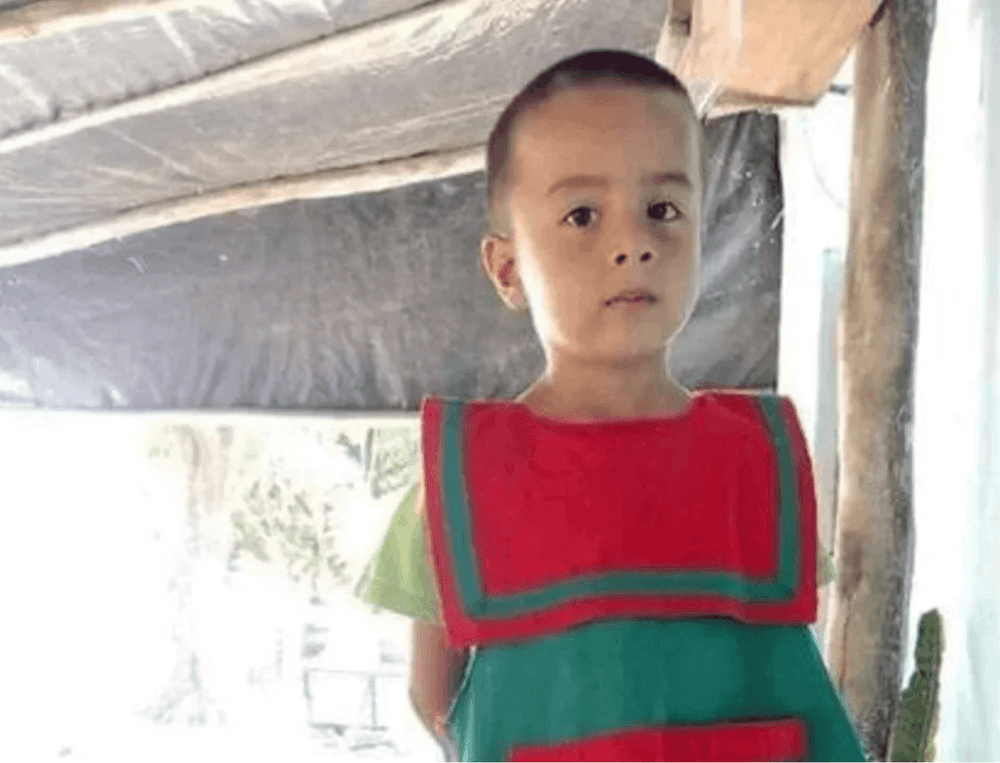 Caso Loan: se reactiva la búsqueda con nuevos rastrillajes en cuatro lagunas