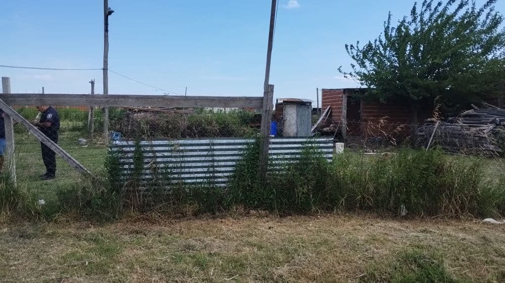 Un niño de 9 años fue atacado por un perro en La Plata y el dueño del animal quedó detenido